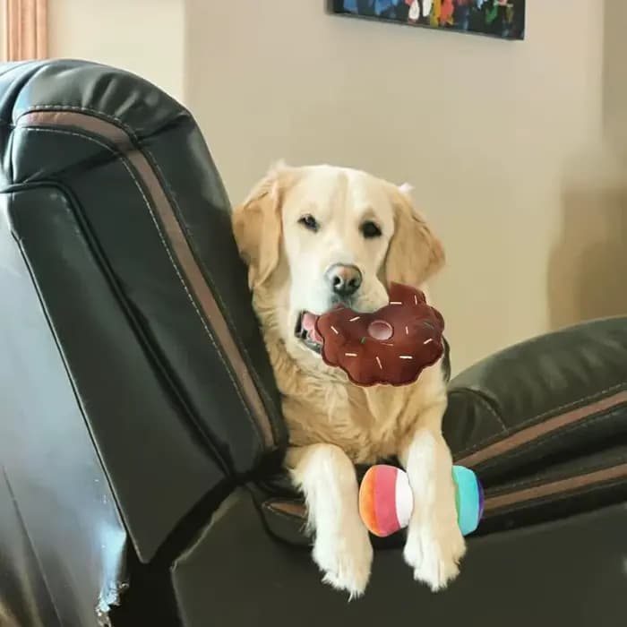 Un ensemble de 7 pièces de jouets sonores pour chiots