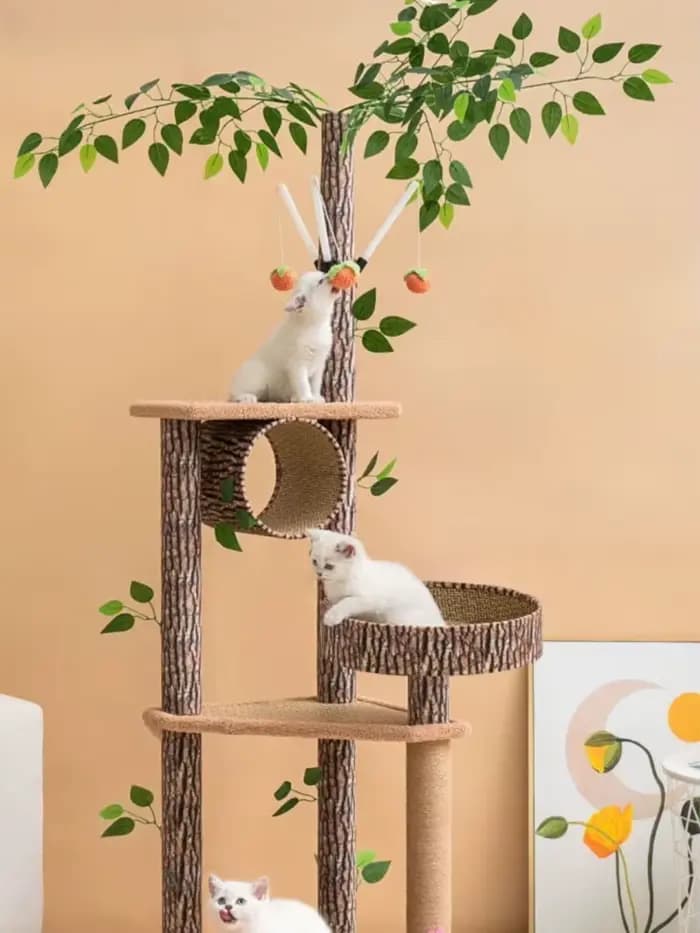 Grand Cadre d'Escalade pour Chat