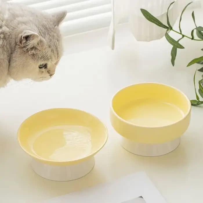Bol en céramique créatif pour chat
