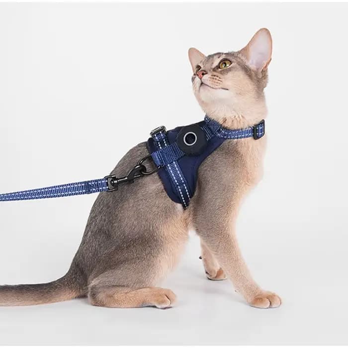 Harnais anti-évasion pour chat avec support AirTag