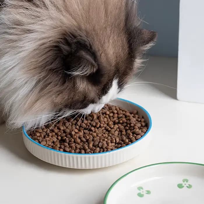 Bol en céramique pour animaux de compagnie, bol d'alimentation pour animaux de compagnie, eau potable, nourriture pour chat, ustensiles de nourriture pour chien, fournitures pour animaux de compagnie,
