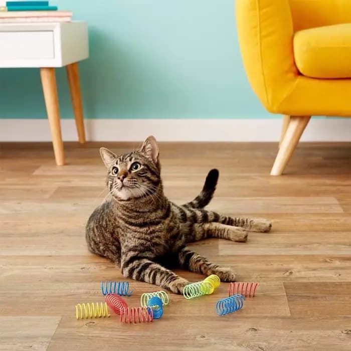 4 jouets à ressort colorés pour chats