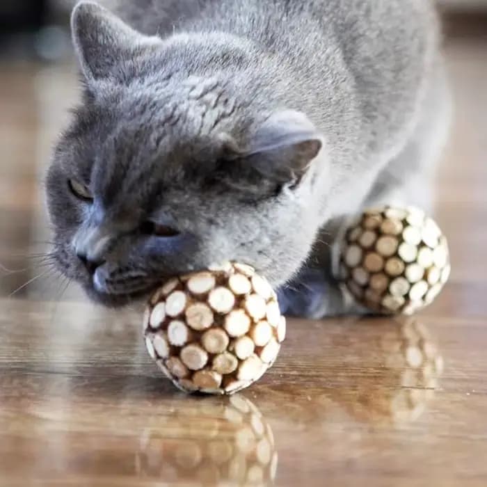 Nouvel ensemble de jouets à mâcher pour chats : boule et bâton de Silvervine – Nettoyage des dents