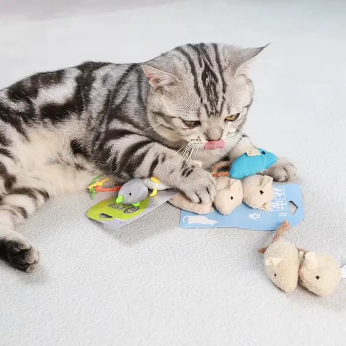 Mélanger le jouet pour animaux de compagnie herbe-aux-chats souris chats jouets amusant en peluche