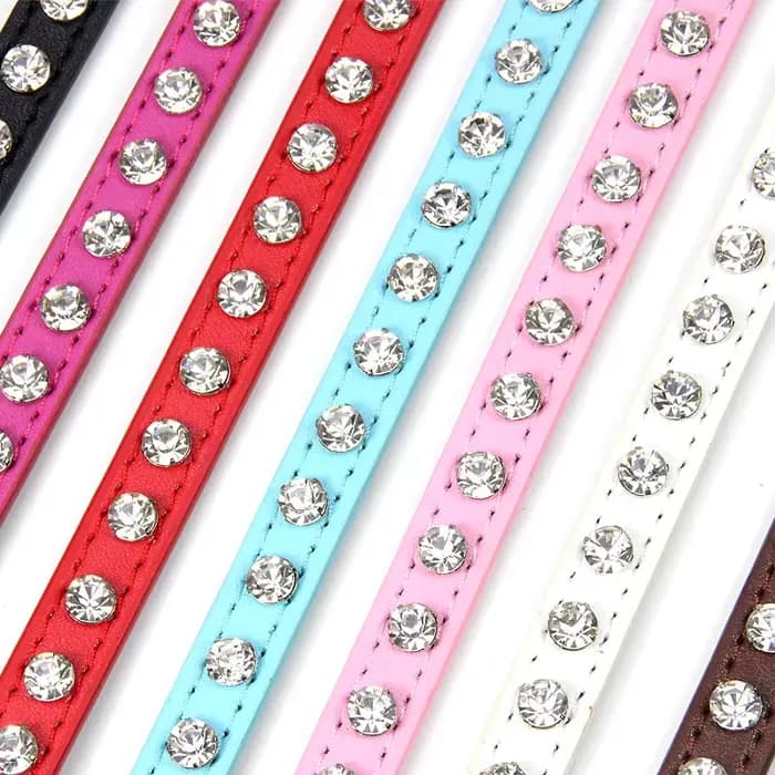 Collier de luxe en cuir pour chat