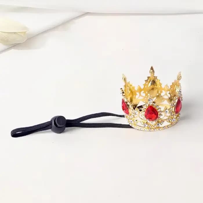 Bandeau couronne pour animaux de compagnie