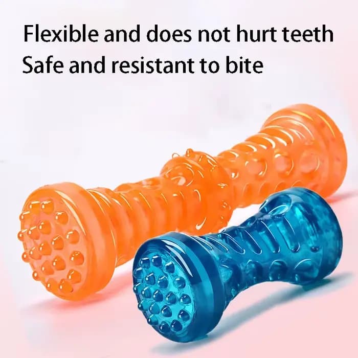 Résistant aux morsures jouet pour animaux de compagnie brosse à dents os robuste chien