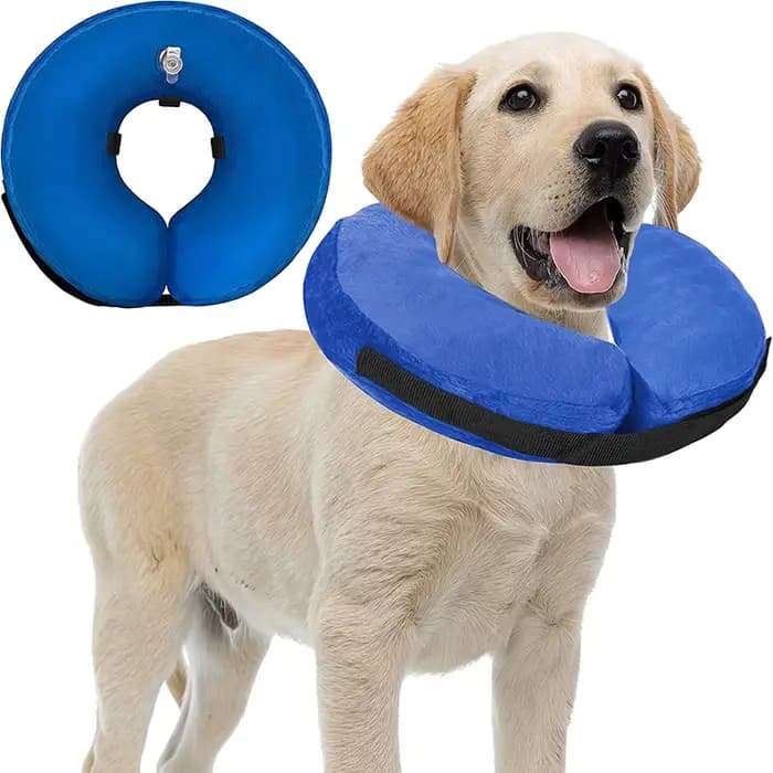 Collier de protection gonflable pour chien et chat