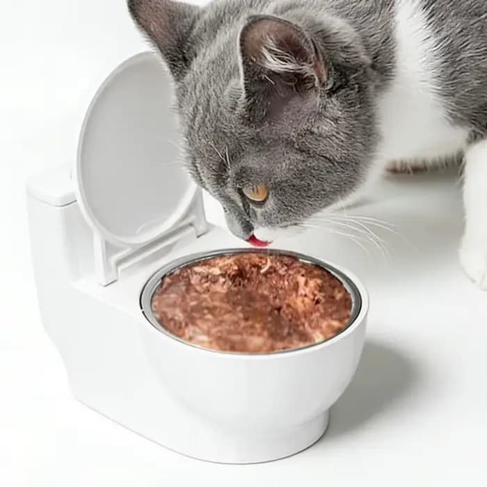 Gamelle pour animaux de compagnie au design amusant en forme de toilettes