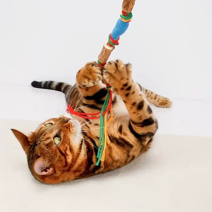 Jouet 2 pièces qui attire les chats à jouer-un