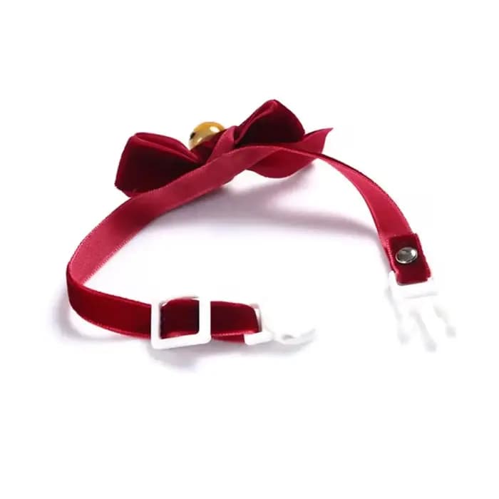 Collier élastique réglable pour chiot