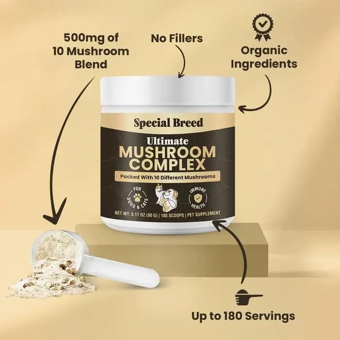 Poudre de champignons 90g pour chiens et chats