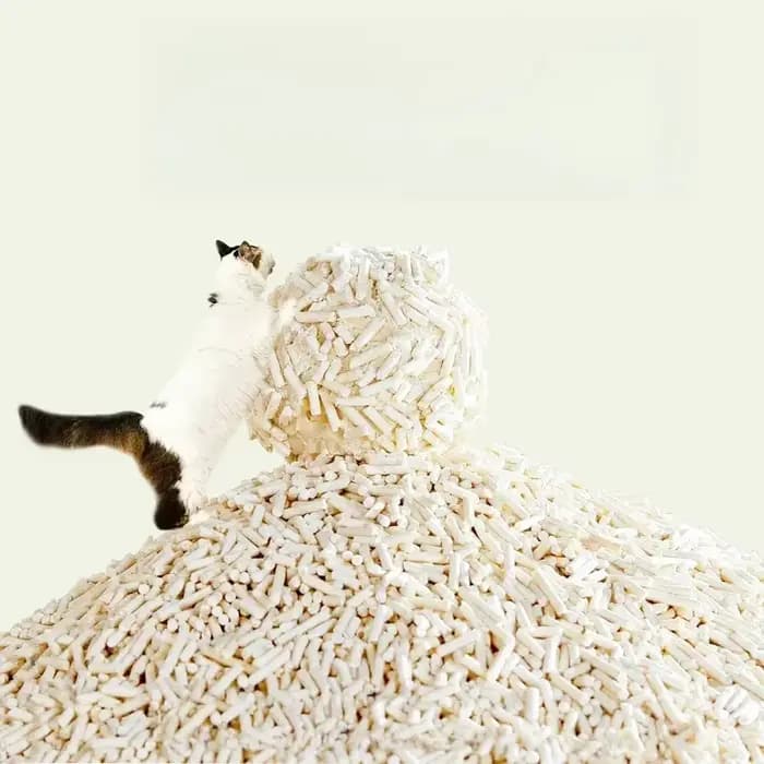 Litière en tofu pour chat
