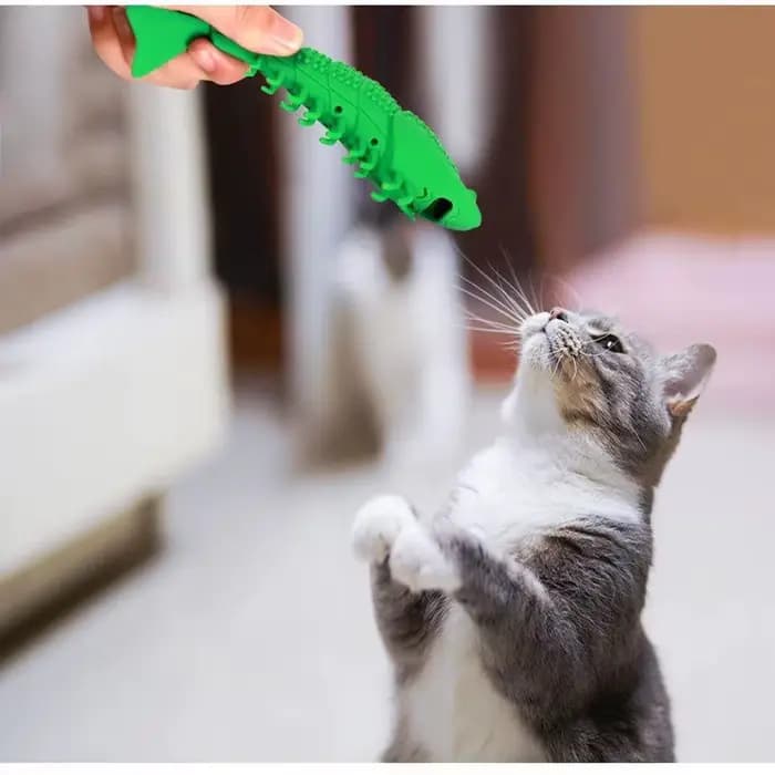 Brosse à dents en caoutchouc pour chat