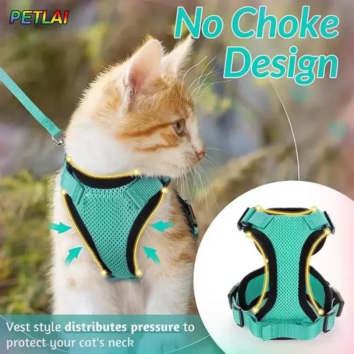 Collier pour chien et chat