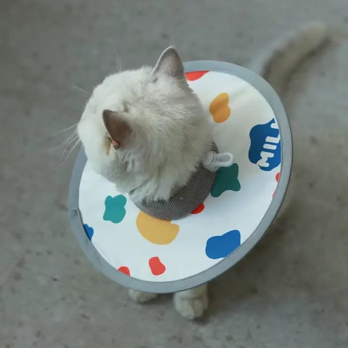 Collier Élisabéthain Imperméable et Réglable pour Animaux de Compagnie