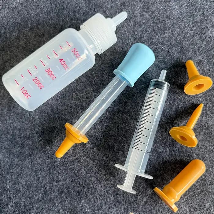 Kit d'alimentation pour chatons et chiots nouveau-nés