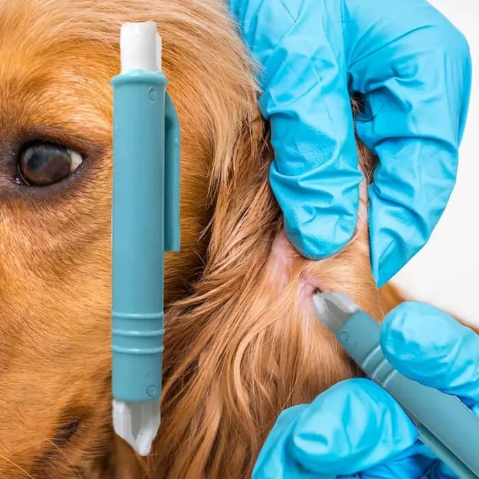 Kit de 4 extracteurs de tiques pour chiens et chats, accessoires durables pour animaux de compagnie, pour éliminer les puces, les poux et les tiques