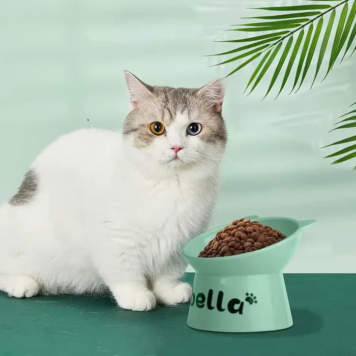Bol de nourriture personnalisé pour chat, pied haut, pour chien et chat, impression gratuite, nom d'animal de compagnie, bols d'eau, tasse d'alimentation pour animaux de compagnie, accessoires pour ch