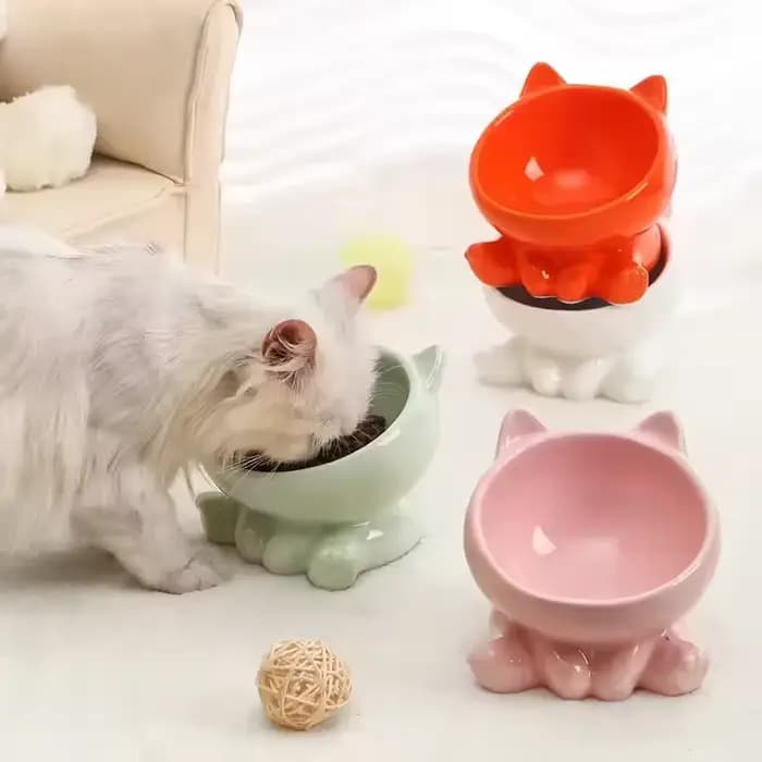 Bol en céramique mignon pour chat avec pieds surélevés