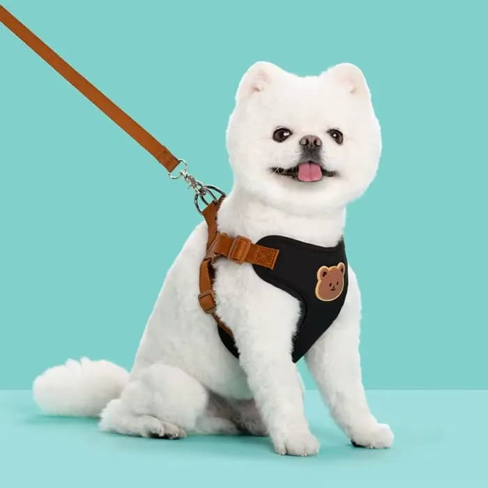 Harnais pour animaux de compagnie