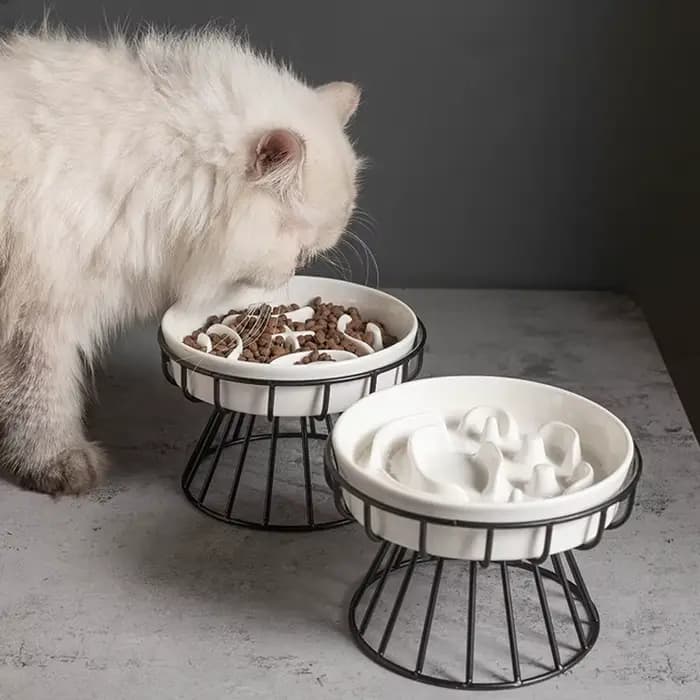 Nouveau bol en céramique pour chat à jambes hautes de grand diamètre