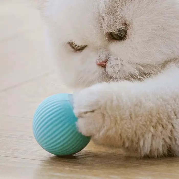 Boule interactive pour chat