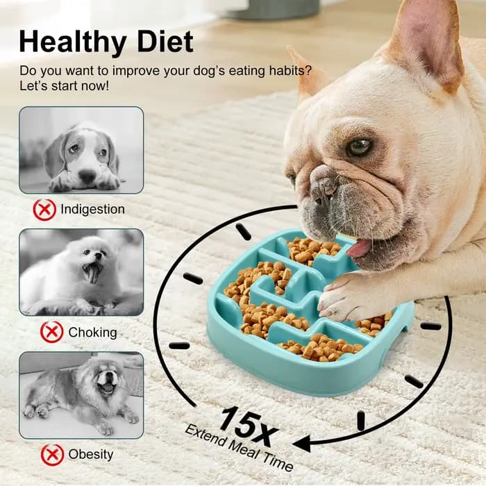 Bol de nourriture pour animaux de compagnie à alimentation lente, anti-étouffement, antidérapant, pour chiens et chats, empêchant les glaçons, assurant une alimentation saine pour les animaux de compa