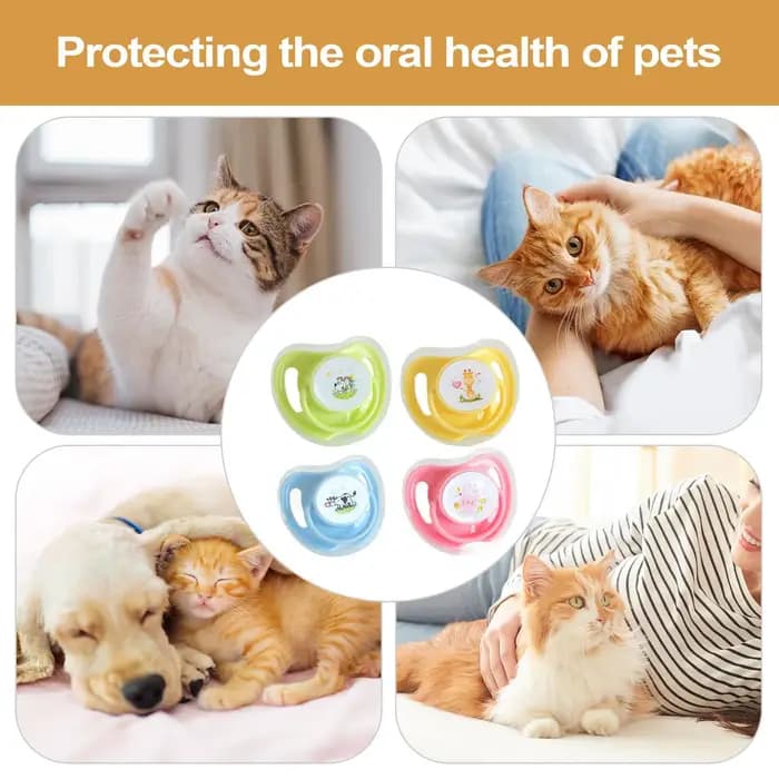 Sucettes pour chatons, 4 pièces