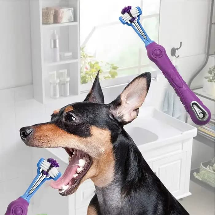 Chien chat brosse mauvaise haleine soins dentaires pour animaux de compagnie