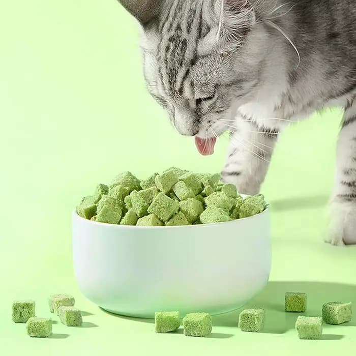 30g chat collations lyophilisée Grain congelé granulés bâton dents Snack herbe