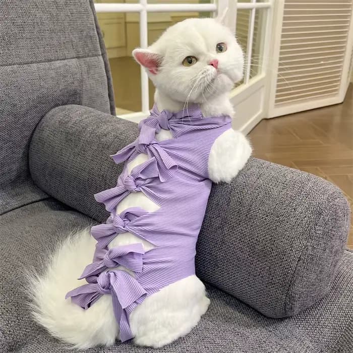 Combinaison de récupération chirurgicale pour chat