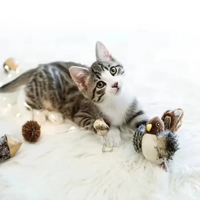 Jouets interactifs pour chats : Jouet oiseau volant pour chat
