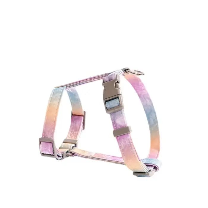 Ensemble Harnais et Laisse Réglables pour Chat, Anti-Évasion, Dégradé, Léger et Doux, pour Chatons et Chiots
