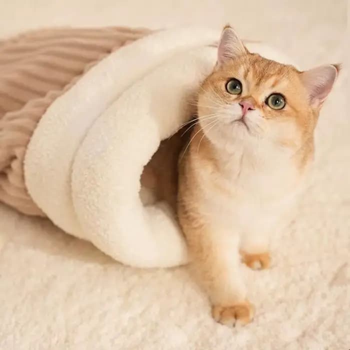 Nid de chat fermé, lit de chat épais, sac de couchage d'intérieur pour chats, sac de couchage chaud d'hiver, grotte douce, fournitures confortables pour animaux de compagnie