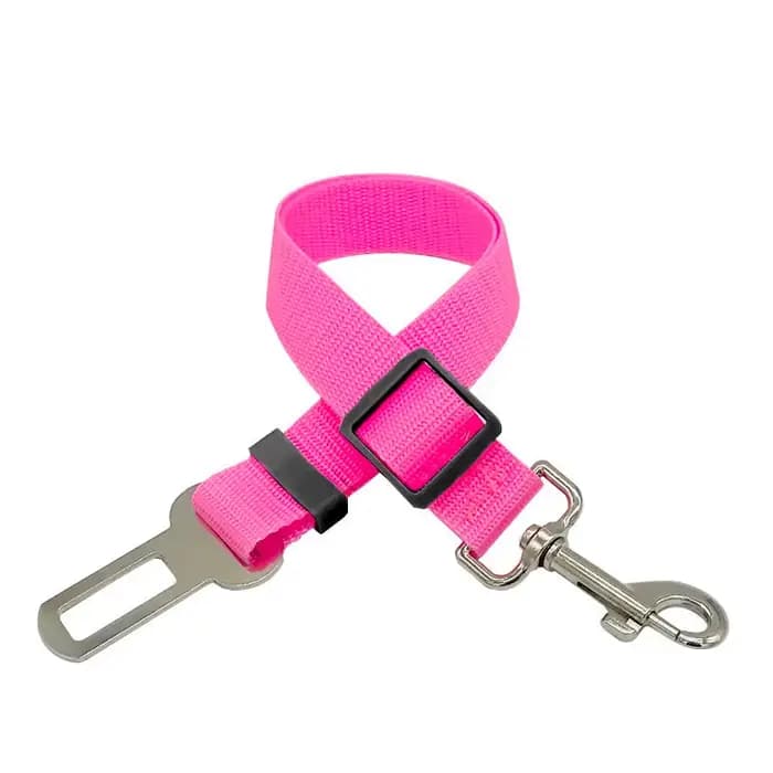 Ceinture de sécurité pour chien