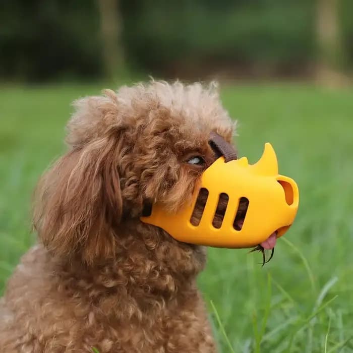 Jouet pour animaux de compagnie en Silicone pour chien de grande taille