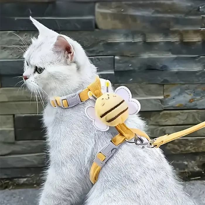 Ensemble de harnais pour chat avec laisse anti-évasion