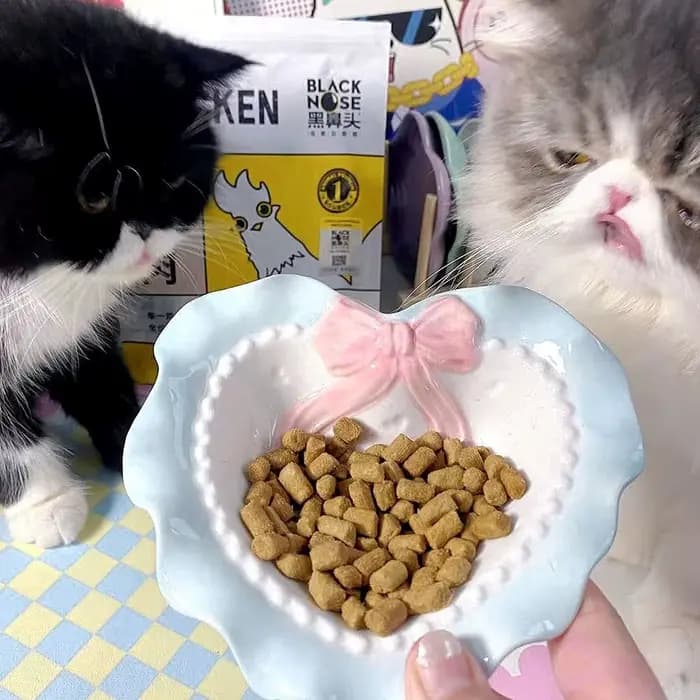 Bols pour chat d'amour bol en céramique de grand calibre animaux de compagnie chiots mignons chatons