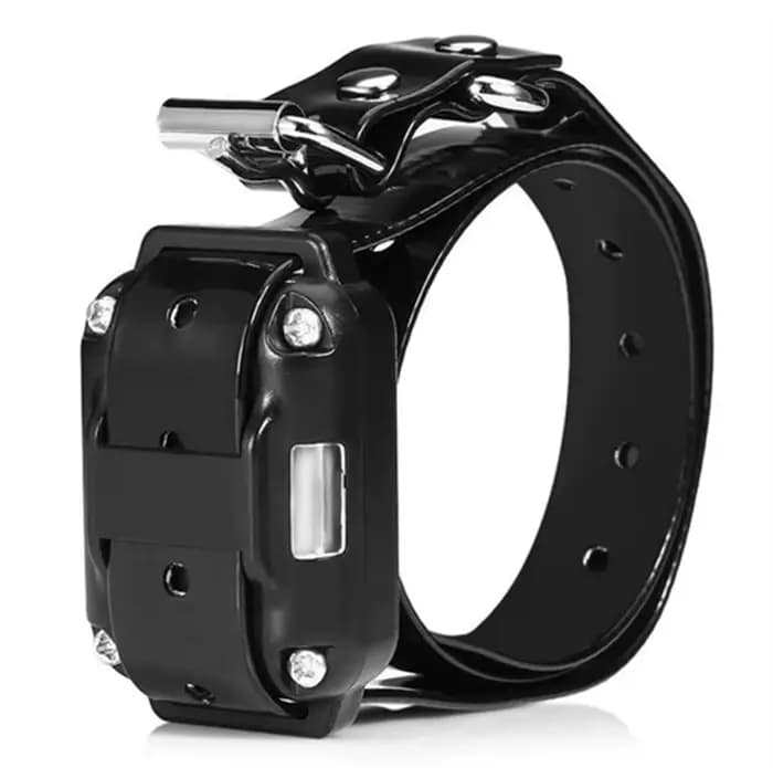 Seulement collier électronique sans automatique