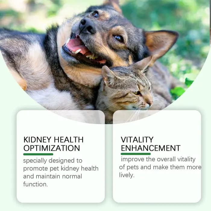 Yegbong Complément de soin pour animaux de compagnie pour favoriser la santé des reins – Améliore la vitalité