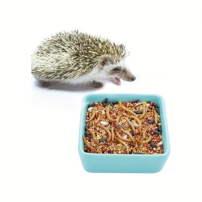 Bol en céramique pour animaux de compagnie