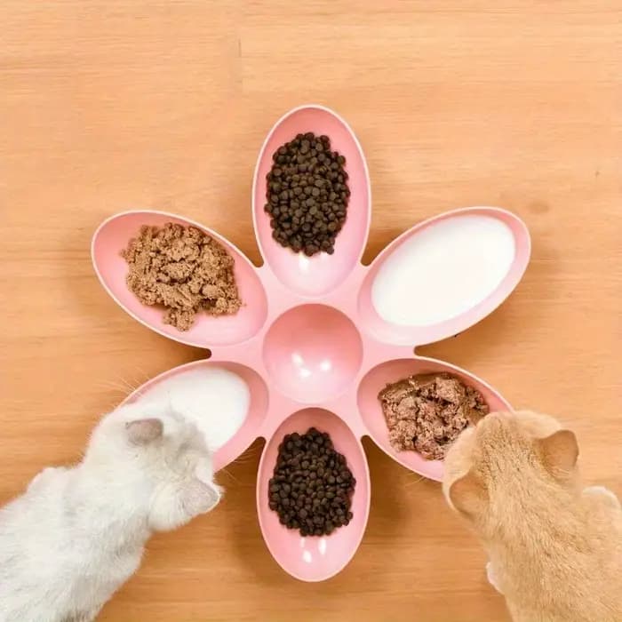 Bol à pétales multi-grille pour chat - Alimentation partagée pour chatons