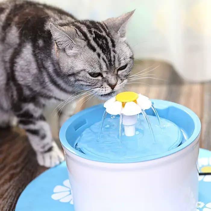 Tête de buse de remplacement en forme de fleur pour chat
