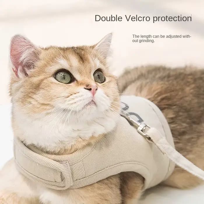 Corde de Traction pour chat