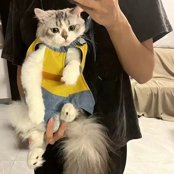 Sacs de transport pour chats d'extérieur