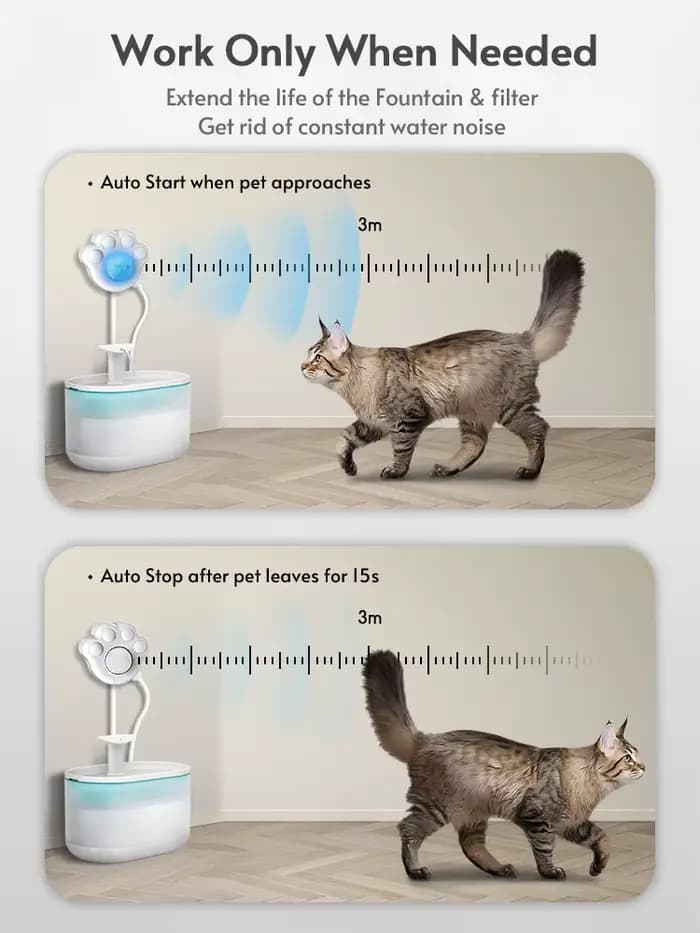 Capteur de fontaine d'eau pour chat