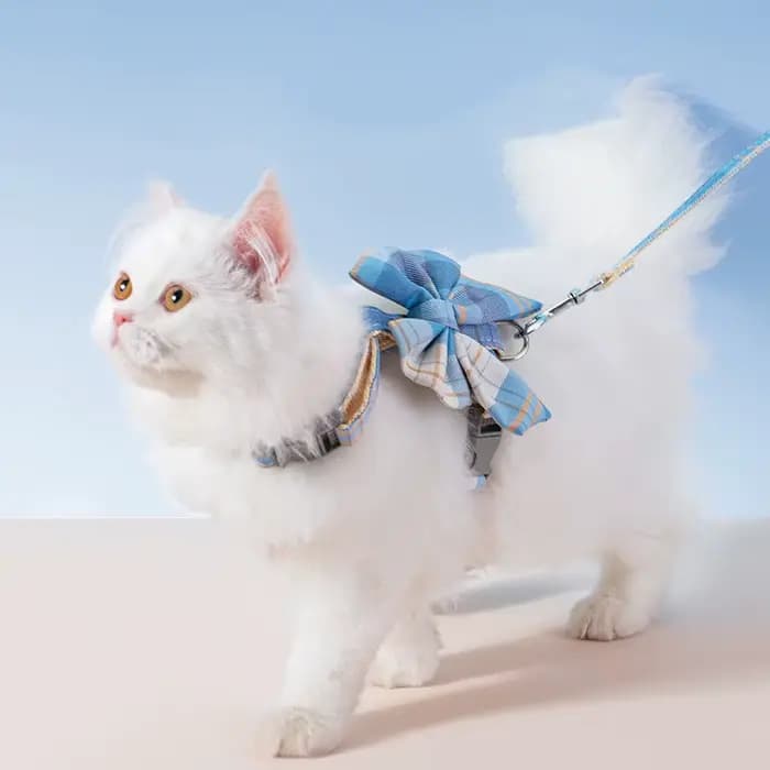 Collier pour chien et chat