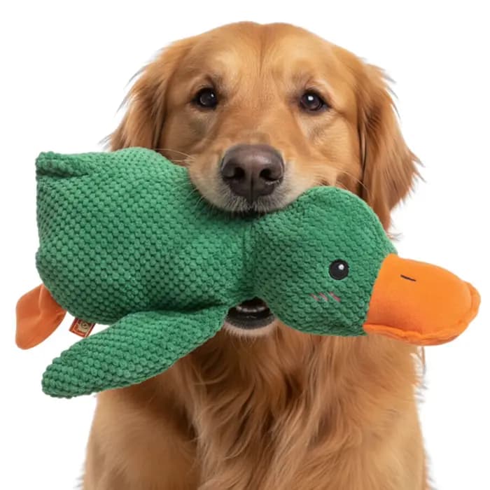 Jouet à mâcher interactif pour chien, jouets en peluche pour chien pour les occuper, en tissu doux mais résistant, pour animaux de petite, moyenne et grande taille