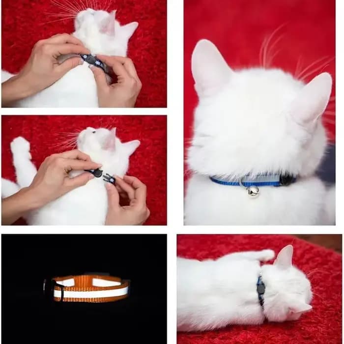 Collier réfléchissant pour chat avec clochette